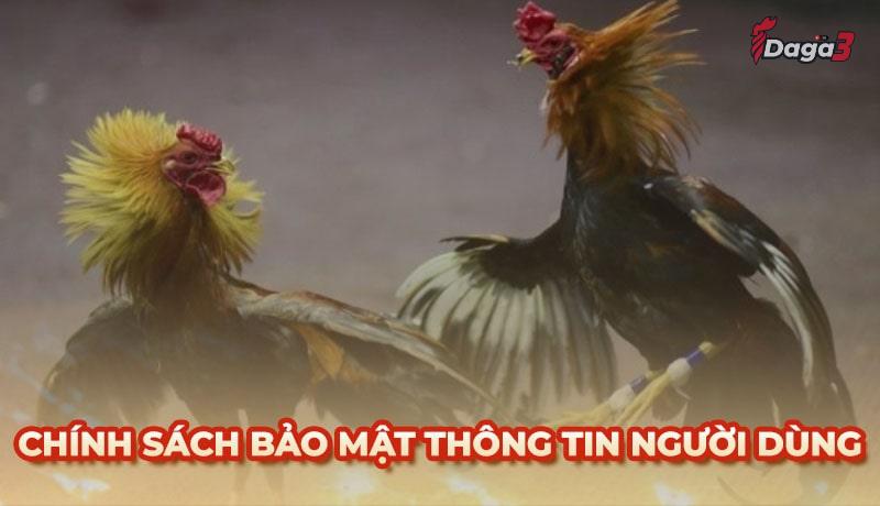 Chính sách bảo mật thông tin người dùng tại www.socialaim.co