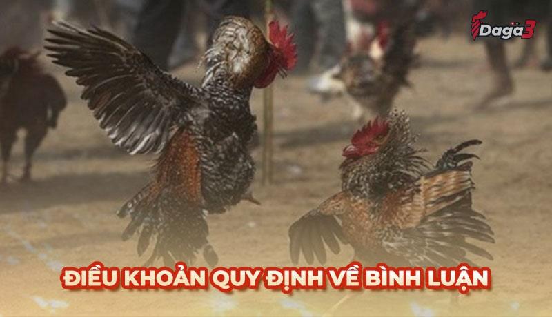 Người dùng cần tuân thủ một số điều khoản khi bình luận trên www.socialaim.co