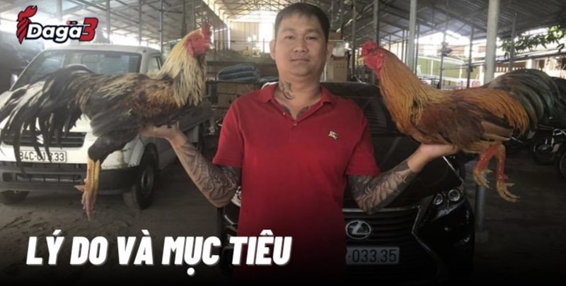 Mít Trà Cú sáng lập trang đá gà trực tiếp www.socialaim.co